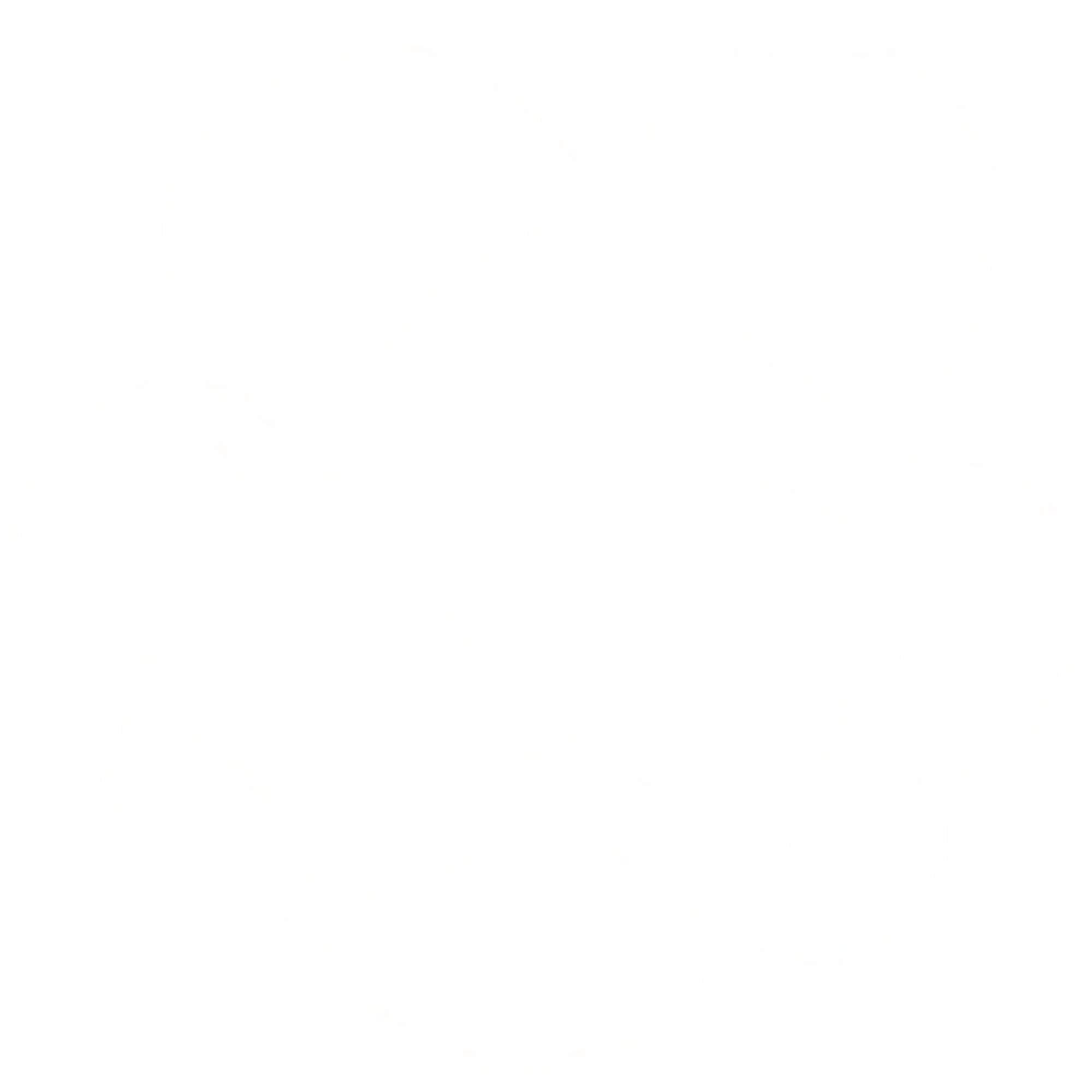 Beginner WordPress Designer